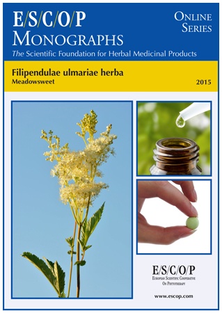 Filipendula-1