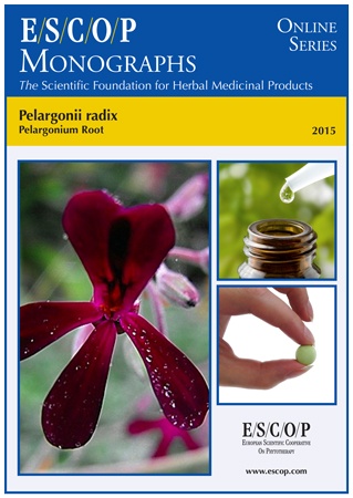 Pelargonium-1
